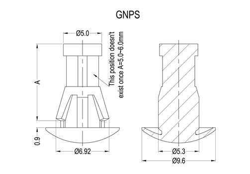 GNPS 2D 503X350.jpg